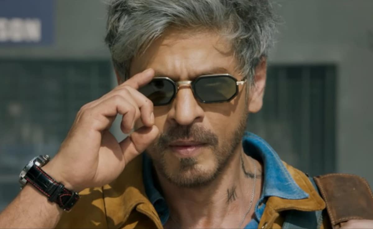 शाहरुख खान की किंग ने रिलीज से पहले कमाए 250 करोड़, कहां से आए इतने पैसे ?