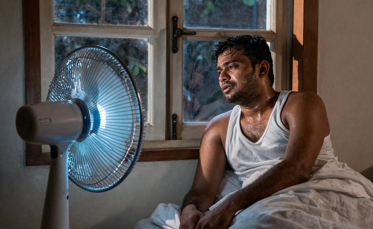 The Art of Baking: From Classic Bread to Artisan Pastries