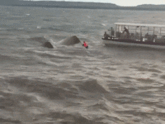 मध्य प्रदेश के जबलपुर में बड़ा हादसा, क्रूज डूबने से 4 की मौत, 31 लोग थे सवार