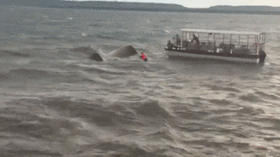 मध्य प्रदेश के जबलपुर में बड़ा हादसा, क्रूज डूबने से 4 की मौत, 31 लोग थे सवार