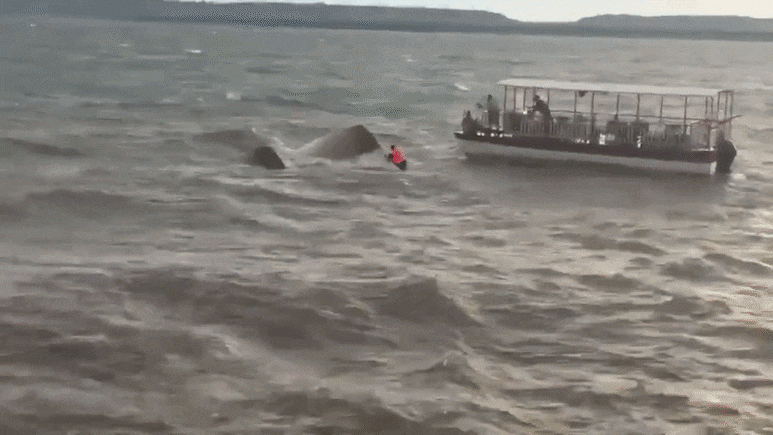 मध्य प्रदेश के जबलपुर में बड़ा हादसा, क्रूज डूबने से 4 की मौत, 31 लोग थे सवार