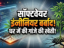 पूरी सैलरी चली गई, पैसे नहीं बचे तो घर में उगा लिया गांजा, हैदराबाद के टेकी को नशे की लत ने कर दिया बेरोजगार