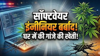 पूरी सैलरी चली गई, पैसे नहीं बचे तो घर में उगा लिया गांजा, हैदराबाद के टेकी को नशे की लत ने कर दिया बेरोजगार
