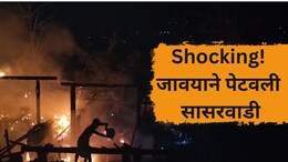 Nandurbar News: ...म्हणून जावयाने पेटवली सासरवाडी, 15 क्विंटल धान्य, लाखोंच्या साहित्याची राख, नेमकं काय घडलं?