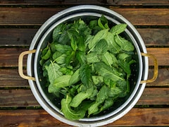 गर्मियों में पुदीना ज्यादा खाना पड़ सकता है भारी, जानें इसके नुकसान और कितनी मात्रा में खाएं