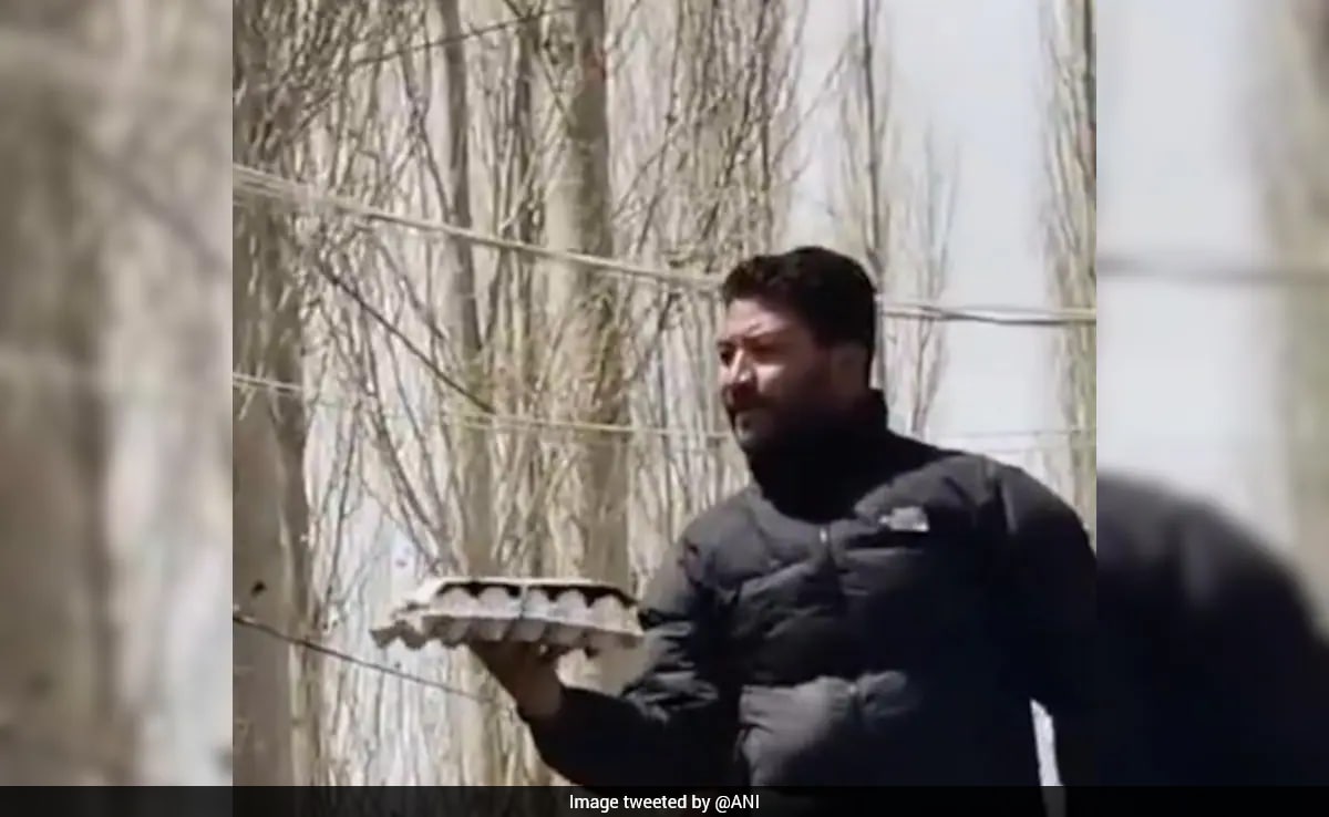 In A Show Of Solidarity With Iran, Leh Locals Auction Egg For Rs 25,000: "Alive For This Community"