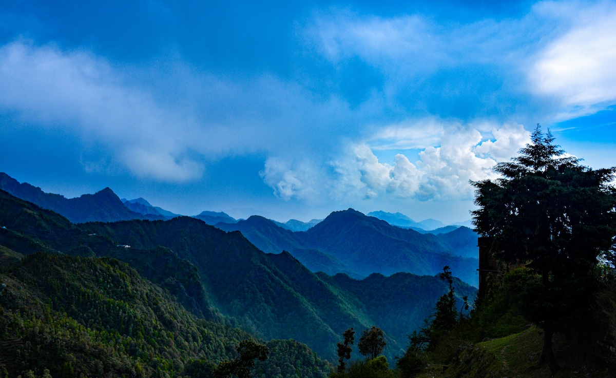 Latest and Breaking News on NDTV Latest and Breaking News on NDTV