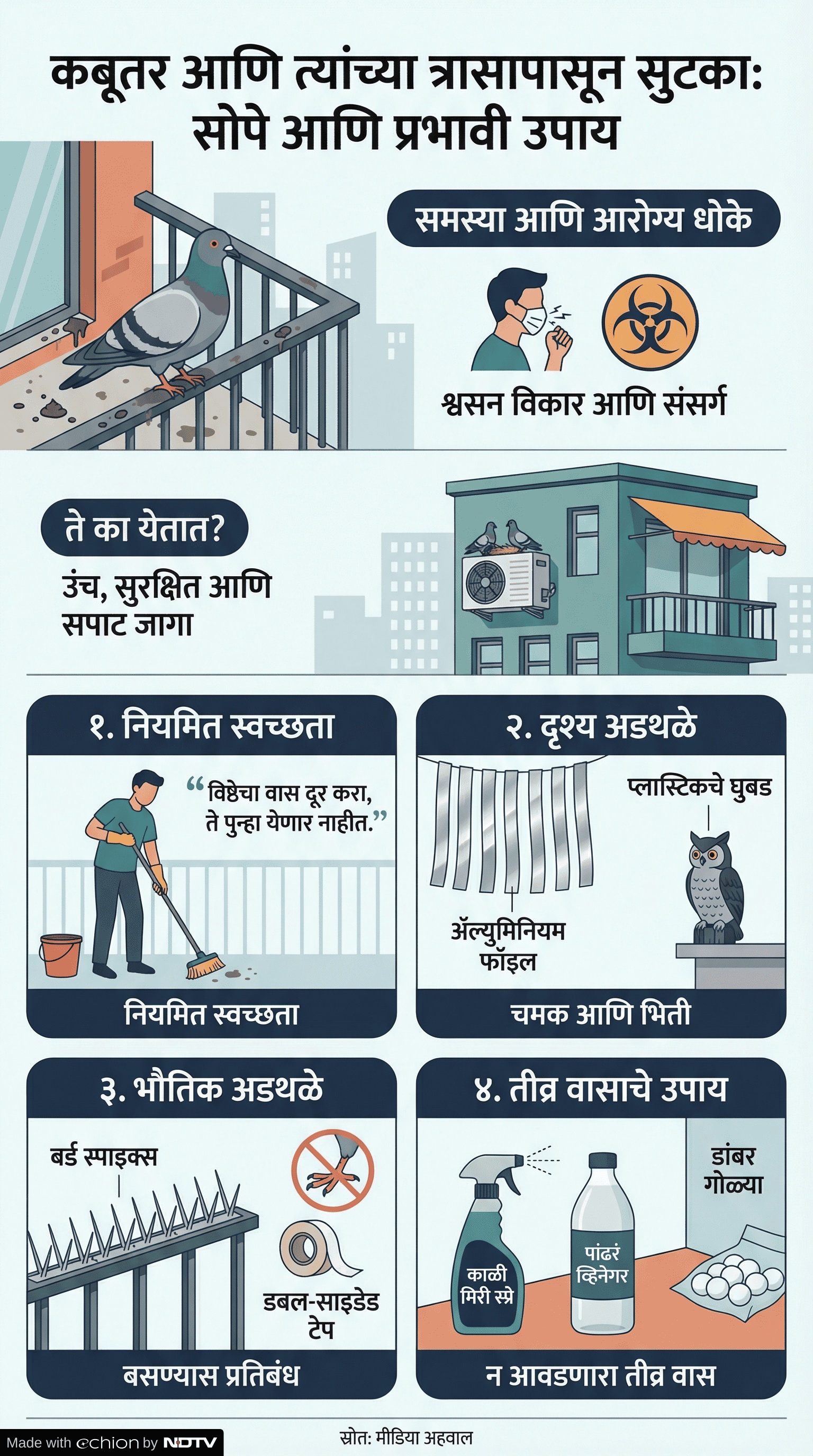 Latest and Breaking News on NDTV