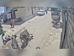 Bull Charges At Gujarat Man, Continues Attack Till Locals Step In For Rescue