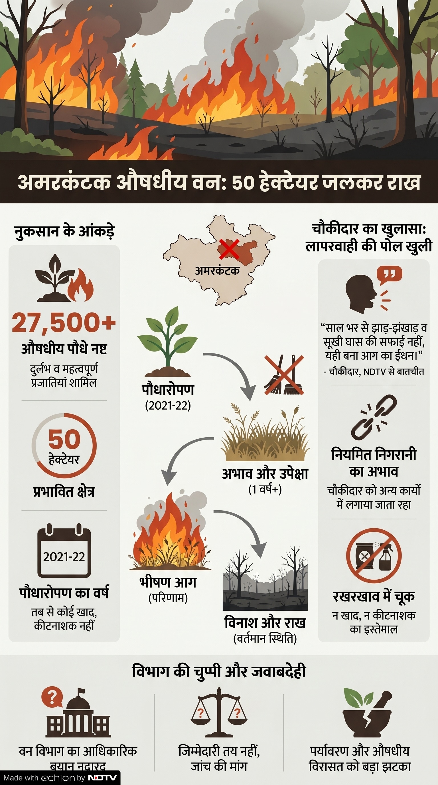 Forest Fire: अमरकंटक के औषधीय वन में भीषण आग