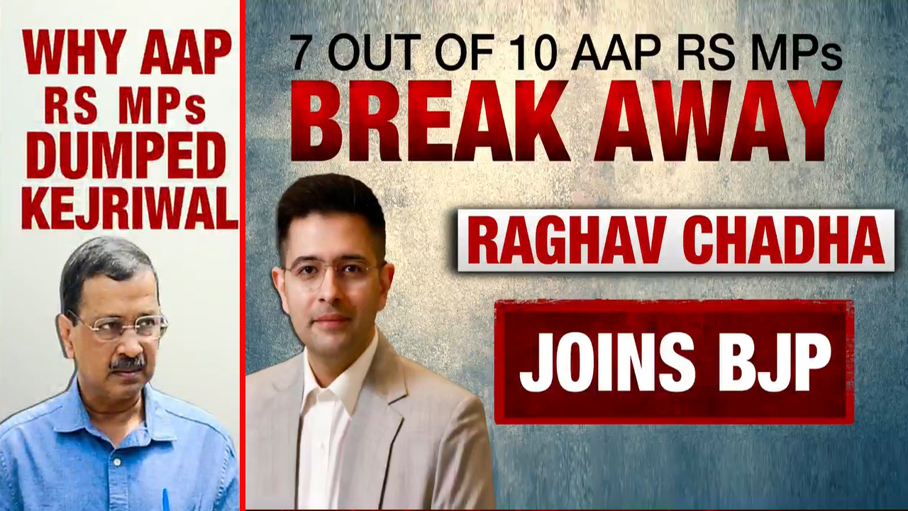 Why 7 AAP's Rajya Sabha MPs Broke Away And What It Means Legally