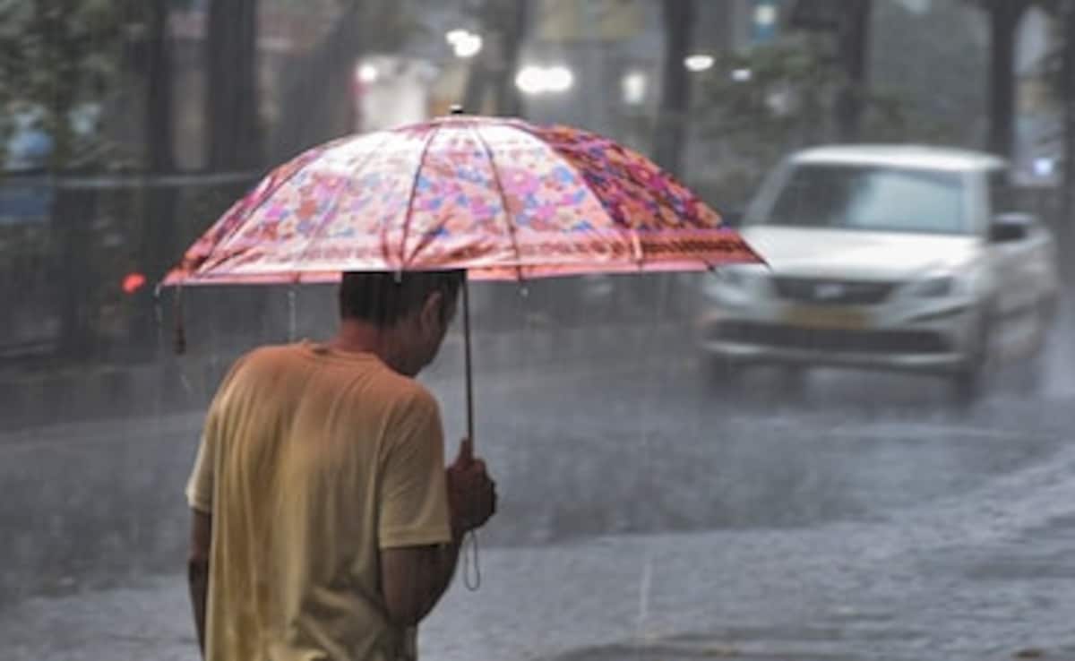 IMD Weather Alert: Kashmir, Himachal, UP,  Delhi-NCR To See Heavy Rains — Check State Wise Forecast