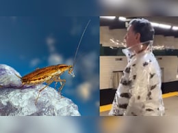 तौबा-तौबा! जैकेट के अंदर रेंग रहे थे 'जिंदा कॉकरोच', मेट्रो में दिखा ऐसा खौफनाक फैशन कि चकरा गया सबका सिर