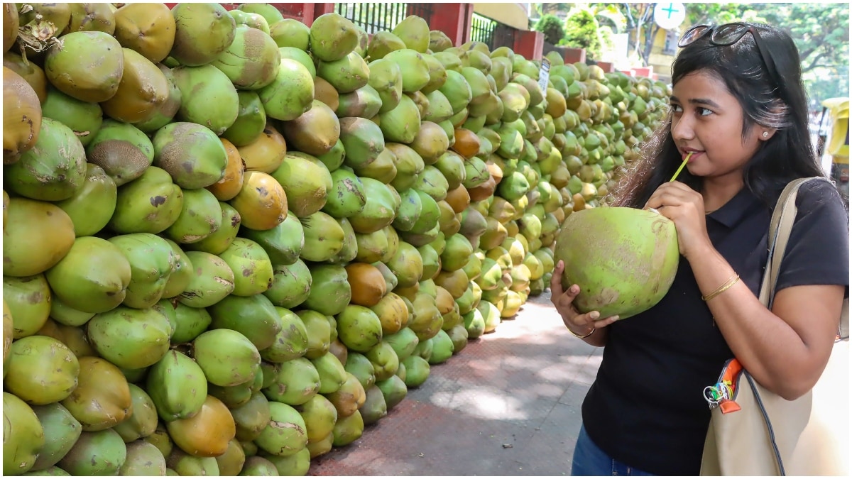 Latest and Breaking News on NDTV