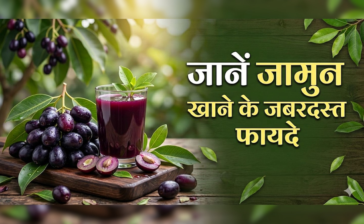 गर्मियों में कुछ ही महीने आता है ये काला फल, जानें इसके अद्भुत फायदे