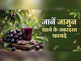 गर्मियों में कुछ ही महीने आता है ये काला फल, जानें इसके अद्भुत फायदे