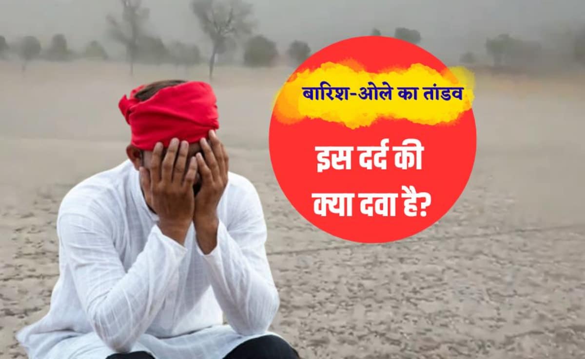 सब बर्बाद...खेतों में सफेद चादर, फसलें डूबीं,UP-MP के साथ इन राज्यों के किसानों पर बरसा कुदरत का कहर