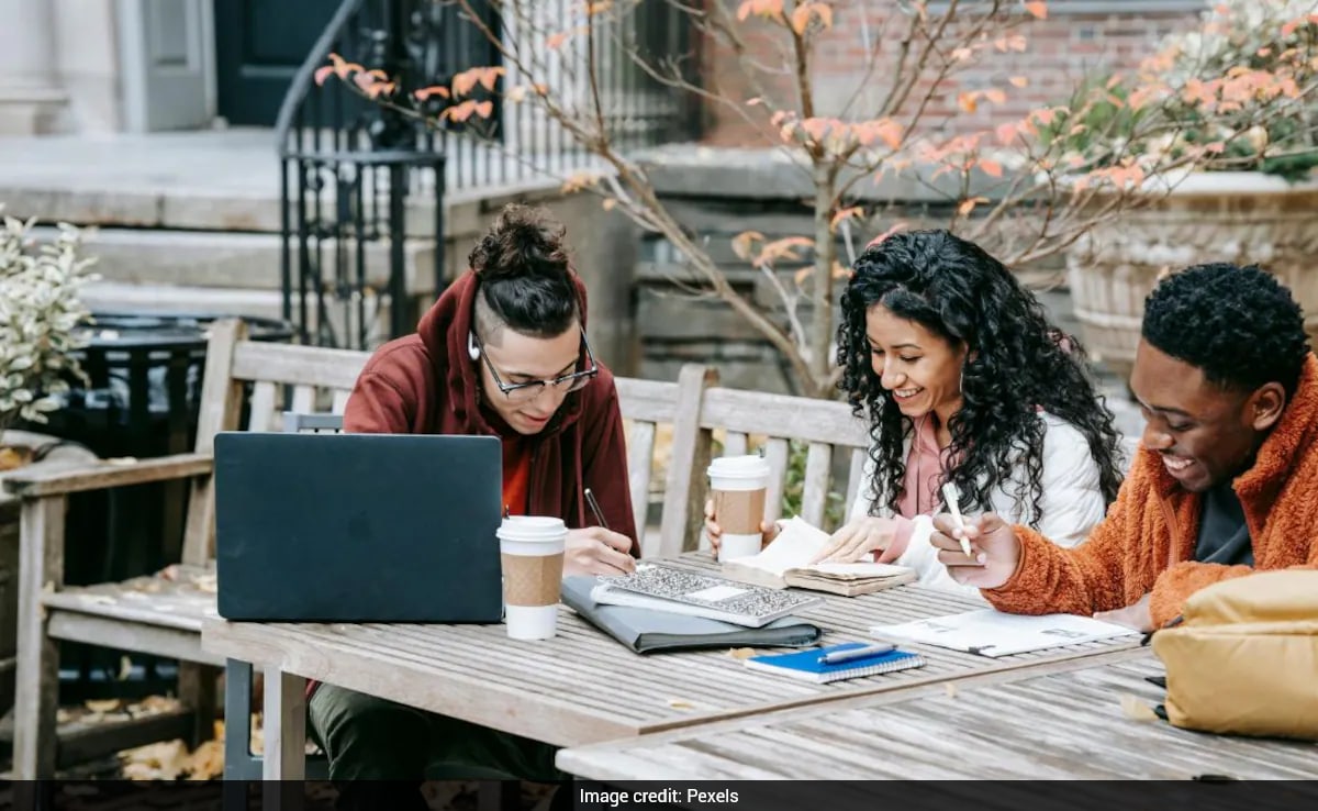 The Art of Baking: From Classic Bread to Artisan Pastries