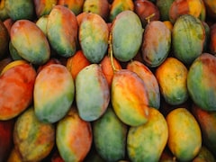 3 लाख रुपये में 1 किलो मिलता है ये खास आम, जानें भारत में मिलने वाली आम की प्रीमियम किस्मों के बारे में