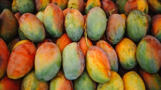 3 लाख&nbsp;रुपये में, 1 किलो मिलता है ये खास आम, जानें भारत में मिलने वाली आम की प्रीमियम किस्मों के बारे में