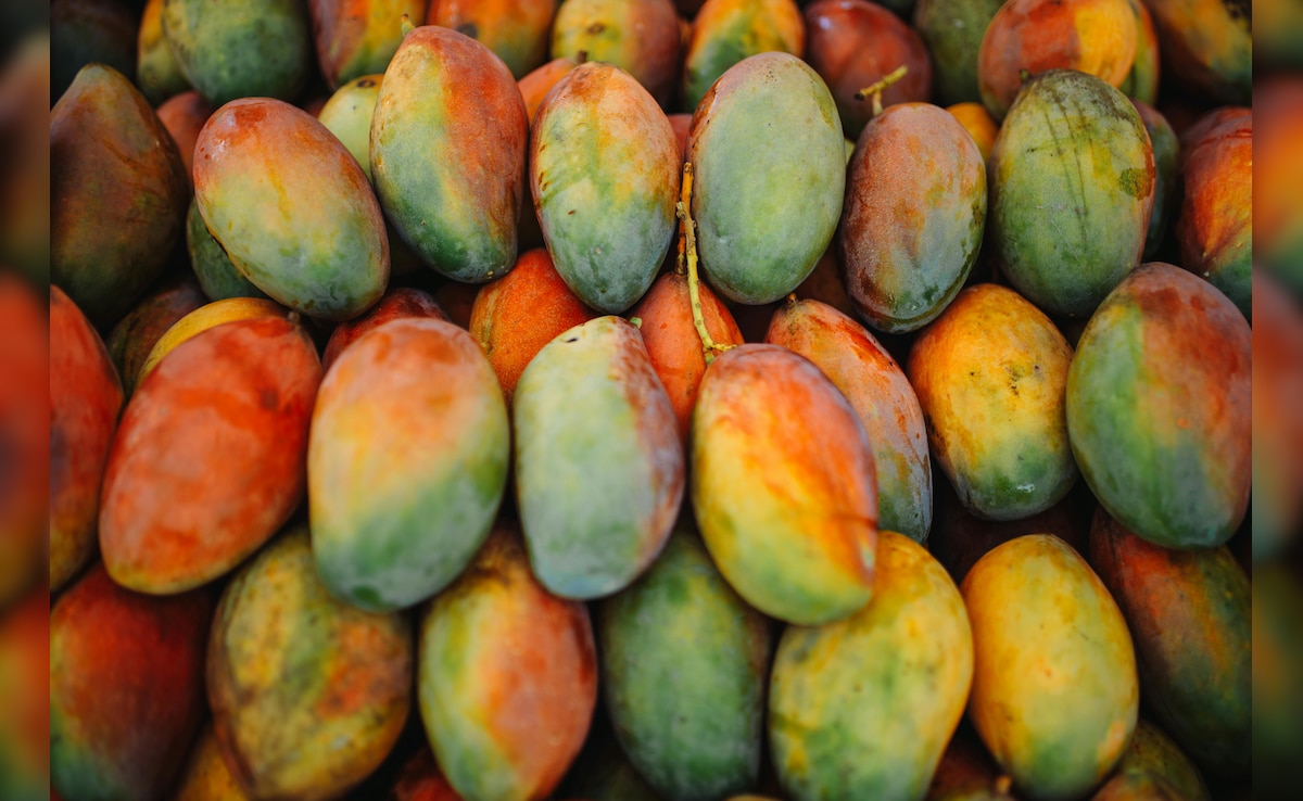 3 लाख रुपये में, 1 किलो बिकता है ये खास आम, जानें भारत में मिलने वाली आम की प्रीमियम किस्मों के बारे में