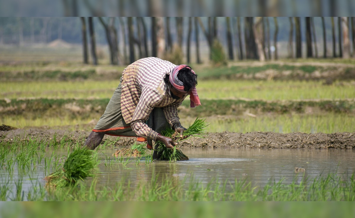 Latest and Breaking News on NDTV