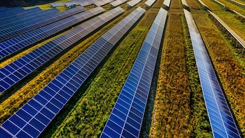 Indosolar Shares Tumble Nearly 5% After Q4 Results