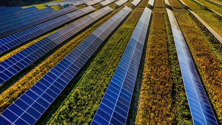 Indosolar Shares Tumble Nearly 5% After Q4 Results