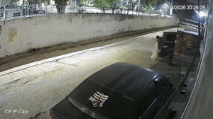 पोते ही Thar से दादी की दर्दनाक मौत, बैक गियर से कुचल गई महिला, डरावाना VIDEO