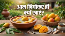 आम को पानी में भिगोकर क्यों खाना चाहिए? डॉक्टर से जानिए!