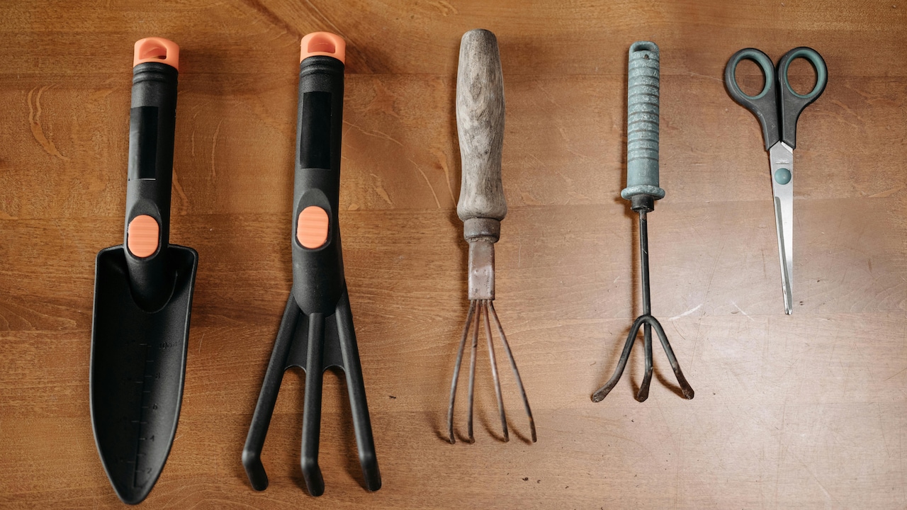 Summer Gardening Essentials with Easy Plant Care and Outdoor Setup for Every Home Summer Gardening Essentials with Easy Plant Care and Outdoor Setup for Every Home