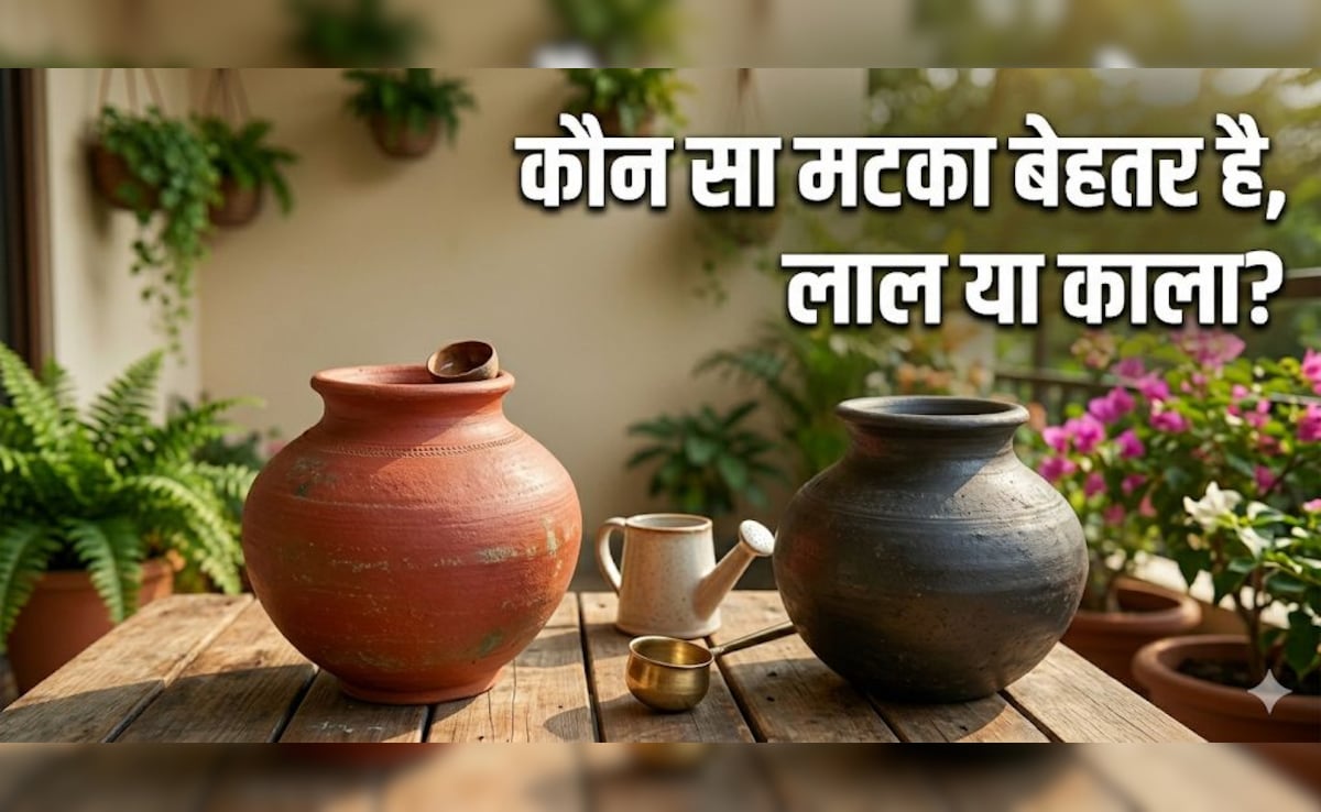 लाल या काला, गर्मियों में किस मटके में पानी पीना चाहिए?