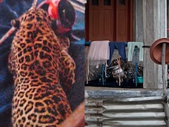 जम्मू-कश्मी के बडगाम में तेंदुए के हमले से दहशत, जान बचाने के लिए भागते दिखे लोग, 6 से ज्यादा घायल