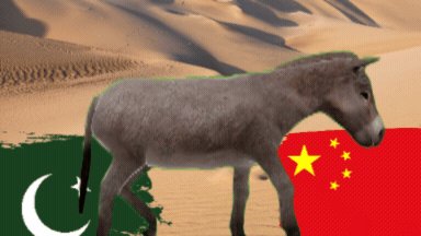 गधों के सहारे चीन का कर्ज और एहसान उतारेगा पाकिस्तान!