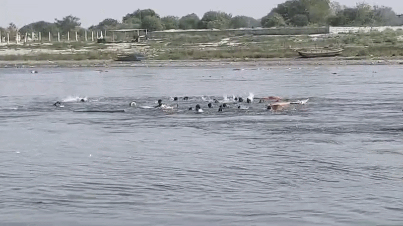 'राधे-राधे का जप कर रहे थे श्रद्धालु', मथुरा नाव हादसे के पहले और बाद के दो VIDEO आए सामने