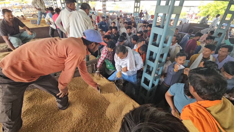 एमपी में सिस्टम ने मारा ! फसल बिकने से पहले ही फेल हुए 6.20 लाख किसान, 450 करोड़ का कर्ज बकाया