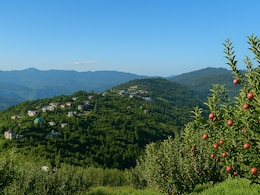 Which City Is Known As The 'Apple City' Of India?