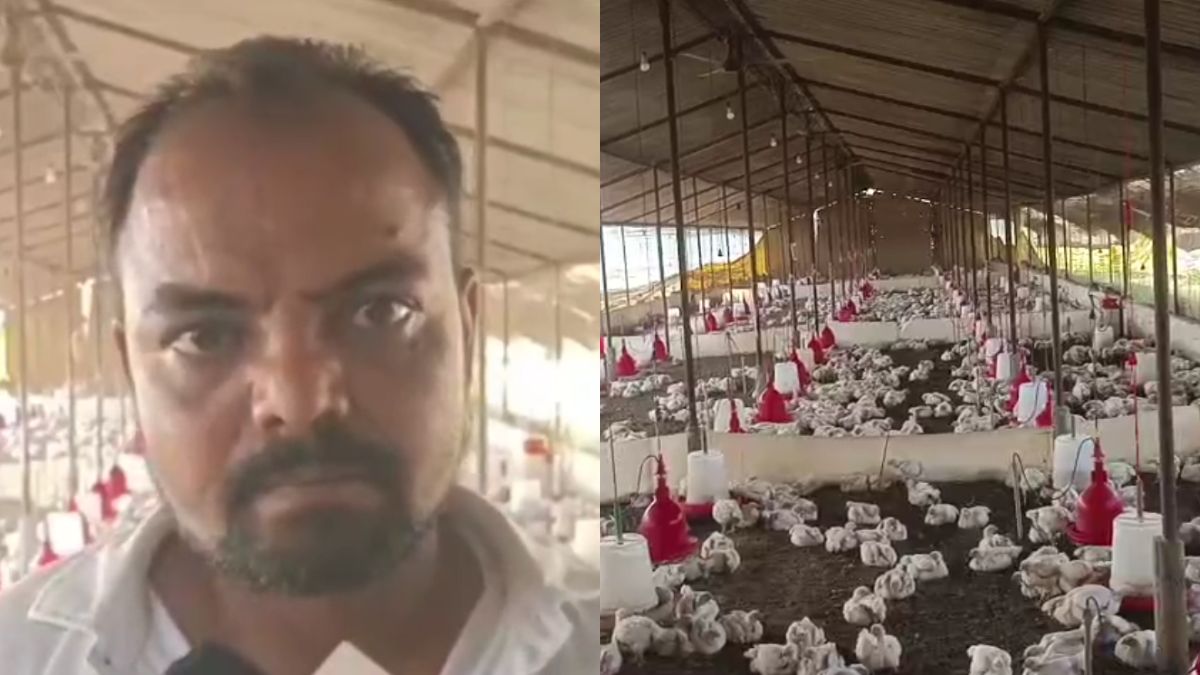 140 Chickens Die After Wedding DJ Decides To Crank Up The Bass