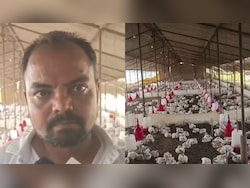 'Fowl Play': 140 Chickens Die After Wedding DJ Plays Loud Music