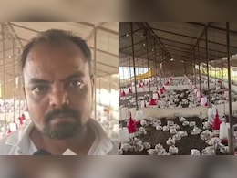 140 Chickens Die After Wedding DJ Decides To Crank Up The Bass
