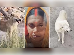 फरीदाबाद में जिस महिला ने खिलाई रोटी, उसी का शव कुत्तों ने नाले से ढूंढ निकाला; पड़ोसी पिता-पुत्र निकले कातिल