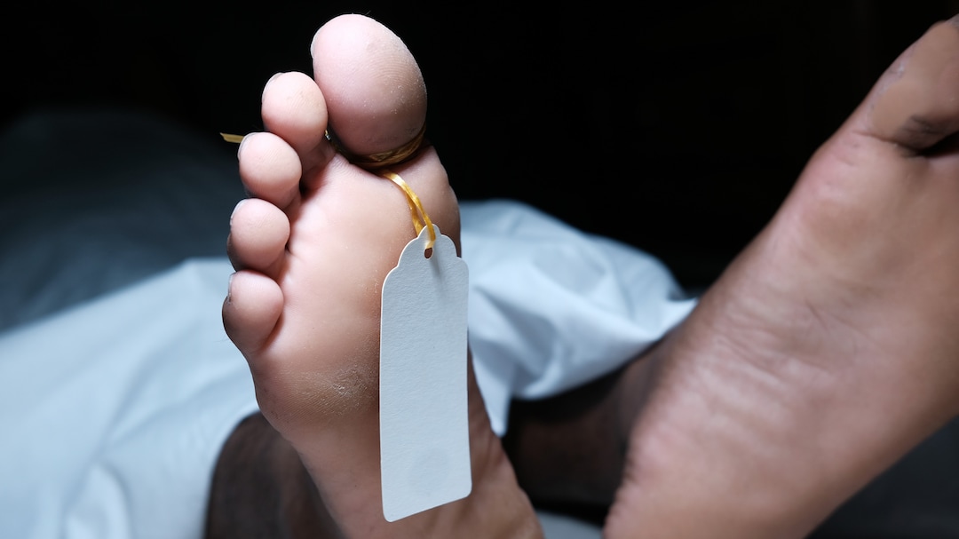 Mumbai News: Police Constable Killed After Drilling Machine Falls At MMRDA Flyover Construction Site At Mankhurd