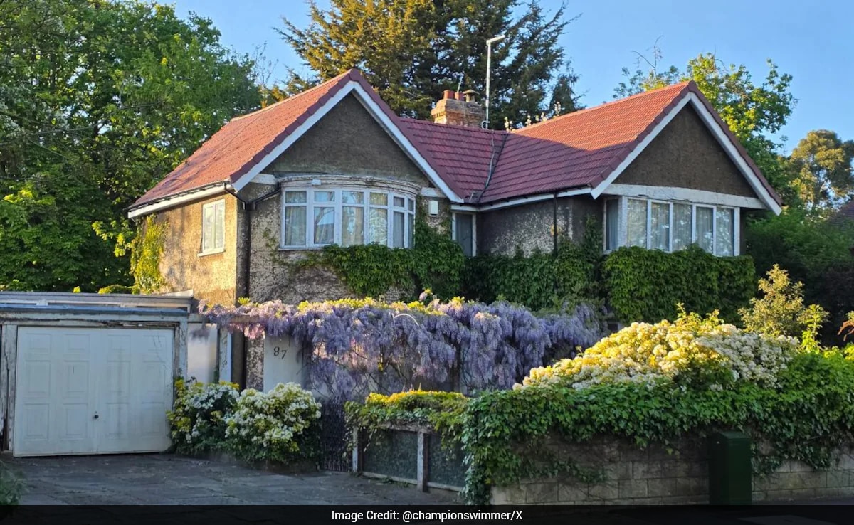 The Art of Baking: From Classic Bread to Artisan Pastries