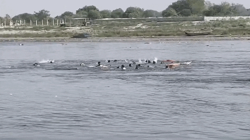 'राधे-राधे का जप कर रहे थे श्रद्धालु', मथुरा नाव हादसे के पहले और बाद के दो VIDEO आए सामने