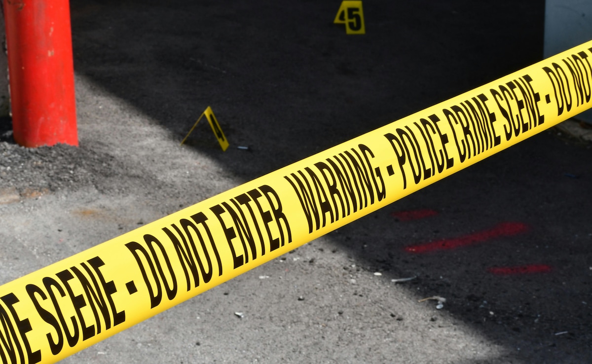 The Art of Baking: From Classic Bread to Artisan Pastries