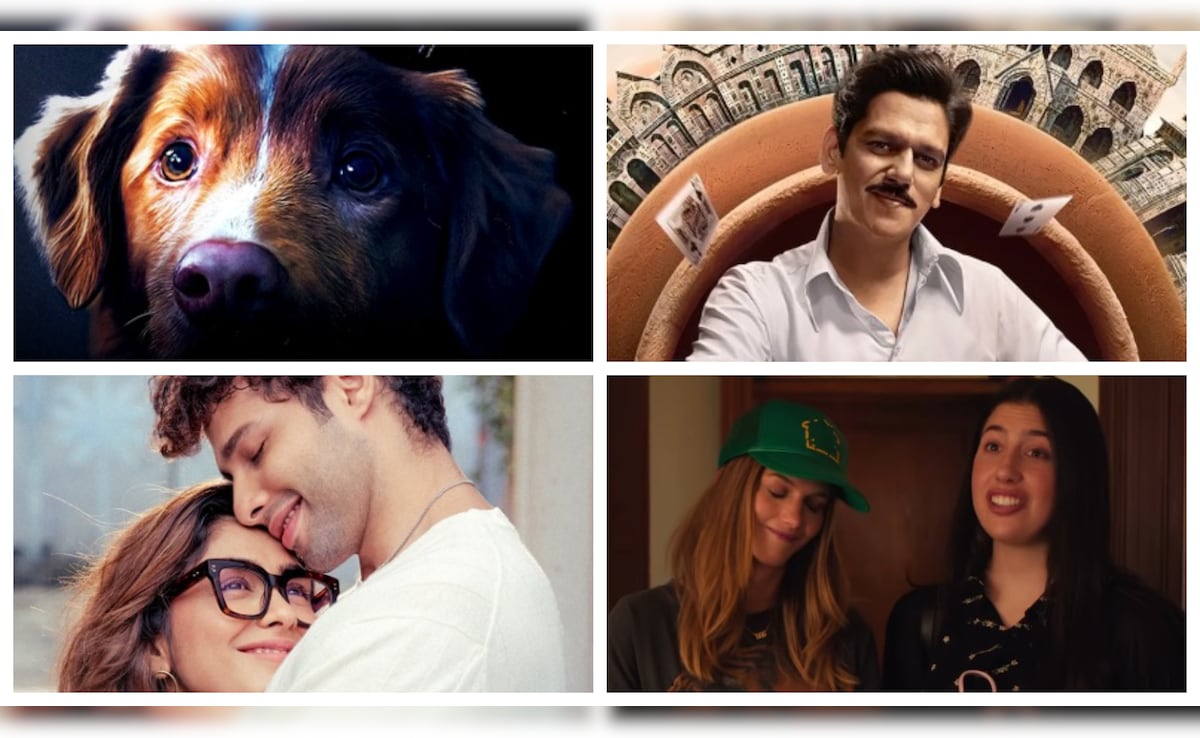 OTT Releases This Weekend: Assi, Matka King, Roommates, Good Boy — Films And Web Series To Watch