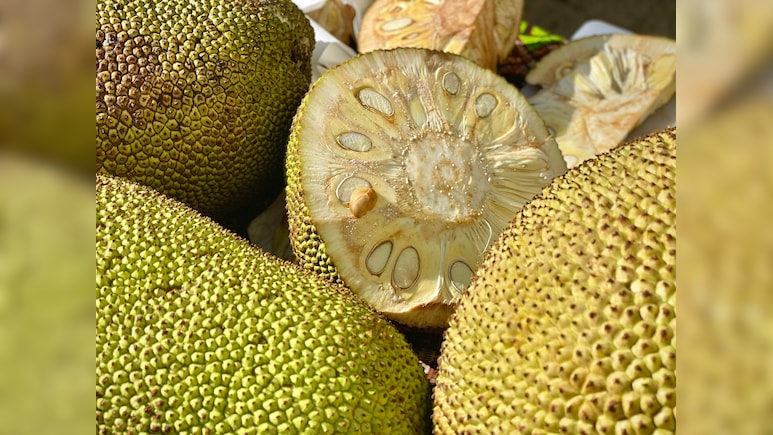 कटहल काटते ही हाथ क्यों हो जाते हैं चिपचिपे? जानें कटहल काटने का आसान तरीका, बस अपनाएं ये 5 स्टेप