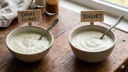 Yogurt vs Curd: Key Difference Between Bacterial Strains Explained