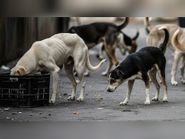 पूरी दिल्ली में वेटेनरी अस्पतालों को जिंदा किया जाएगा, दवा, स्टाफ सब मिलेगा-सीएम रेखा गुप्ता