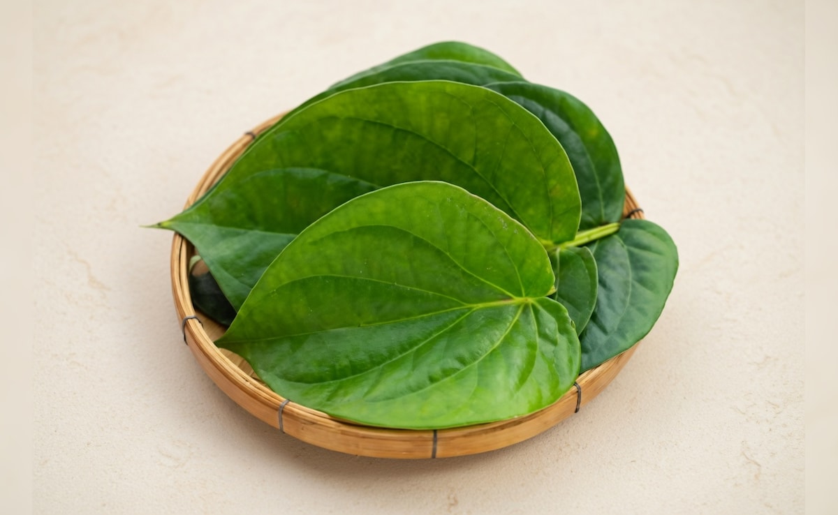 पान का पत्ता बढ़ते यूरिक एसिड को कंट्रोल करने में मददगार, सूजन और मसूड़ों के दर्द में दिलाता है राहत